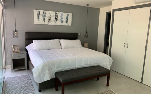 ARIA OCEAN 165-NUEVO VALLARTA