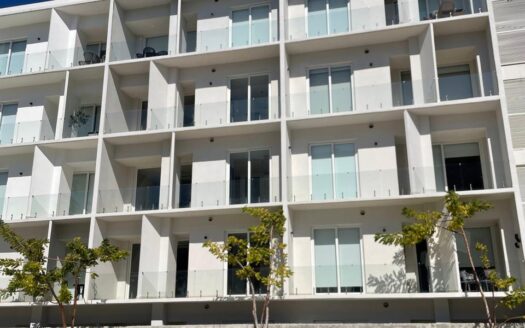 KI GREEN DISTRICT- 303