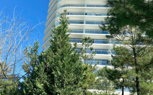 CIMA PARK: UNIDAD – PHF