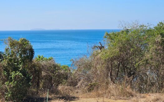 BOLONGO: UNIDAD – MZ